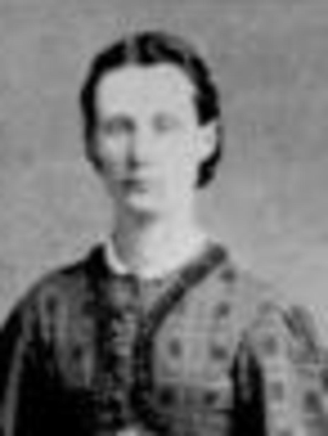 Sarah Ann Wilkes (1850 - 1929) Profile
